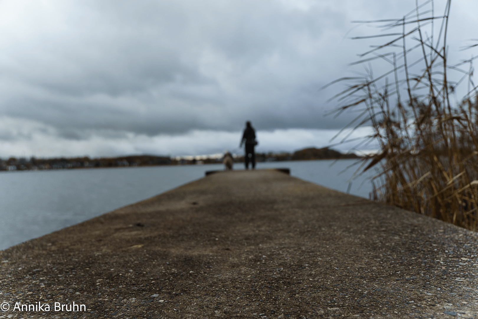 Q und ich an der Schlei Kunstfoto